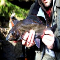 Fishing at Wodencrft 4