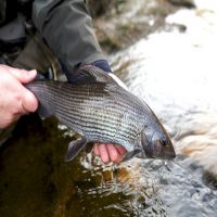 Fishing at Wodencrft 5