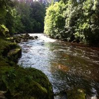 Fishing at Wodencroft 10