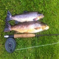 Fishing at Wodencroft 11