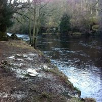 Fishing at Wodencroft 12