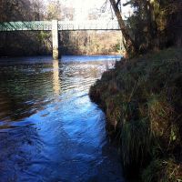 Fishing at Wodencroft 13