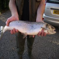 Fishing at Wodencroft 1