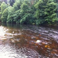 Fishing at Wodencroft 1