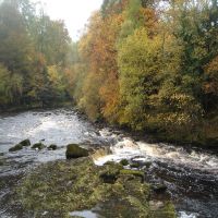 Fishing at Wodencroft 1