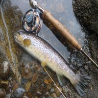 Fishing at Wodencroft 1