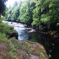 Fishing at Wodencroft 2