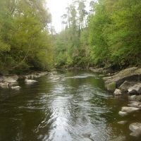 Fishing at Wodencroft 2