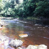 Fishing at Wodencroft 3