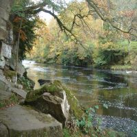 Fishing at Wodencroft 3