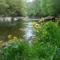 Fishing at Wodencroft 3