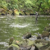Fishing at Wodencroft 4