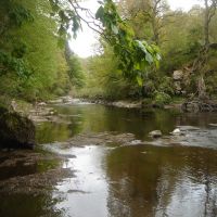 Fishing at Wodencroft 4