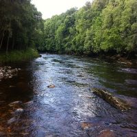 Fishing at Wodencroft 5