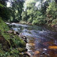 Fishing at Wodencroft 6