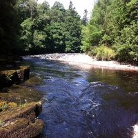 Fishing at Wodencroft 7