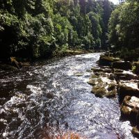 Fishing at Wodencroft 8